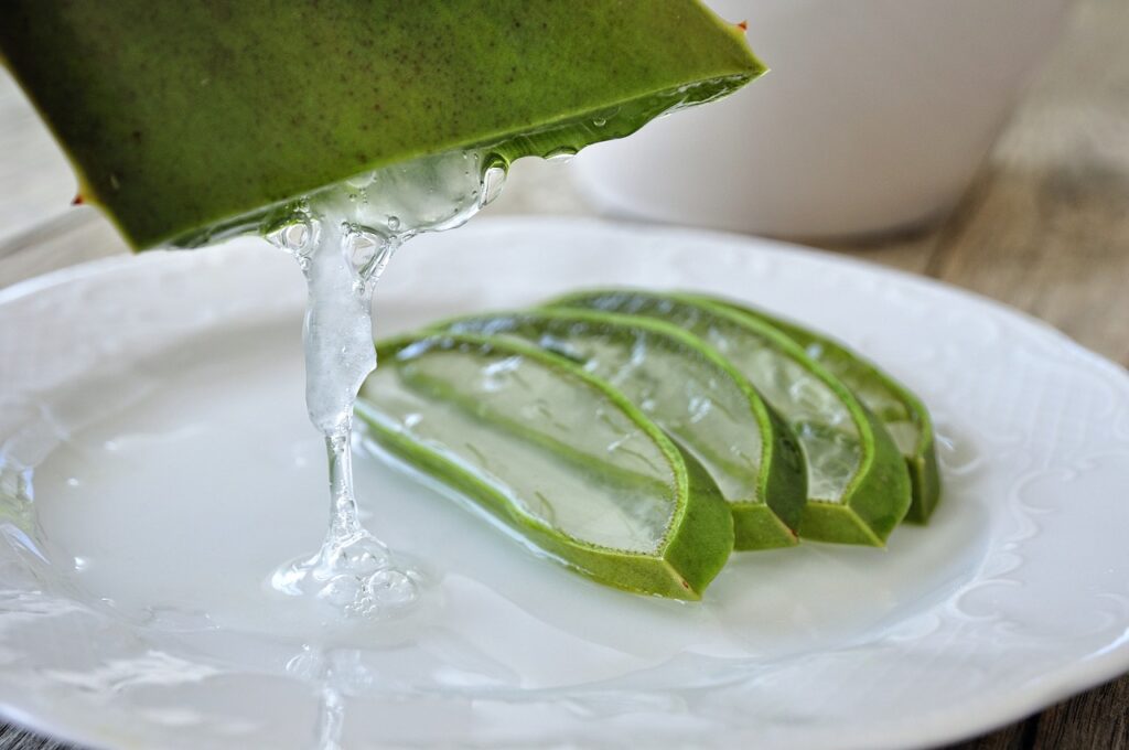 Aloe Vera – Hydrating and Healing